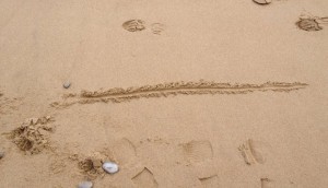 A_Line_In_The_Sand